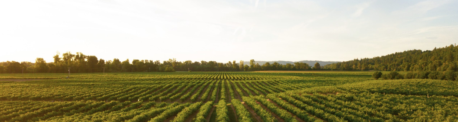 Agriculture