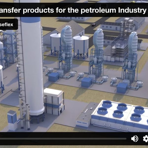 Fluid transfer products for the petroleum industry