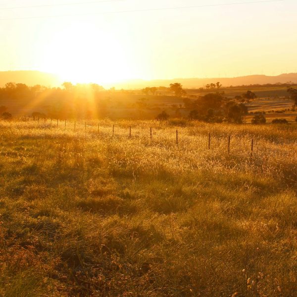 Hoses - high temperature