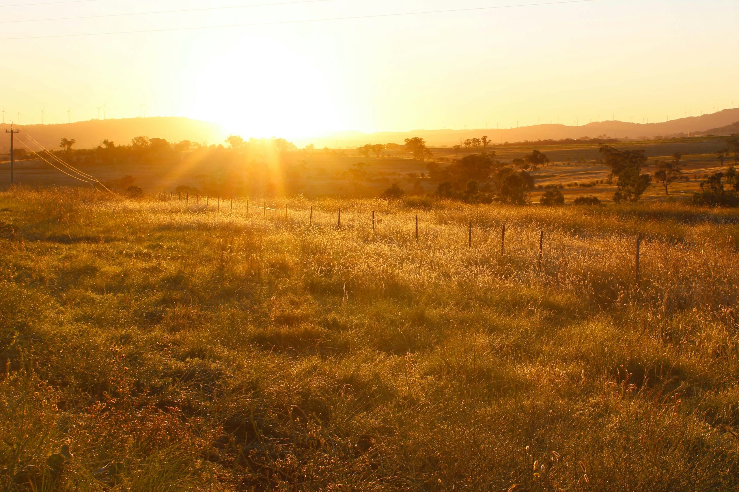 Hoses - high temperature